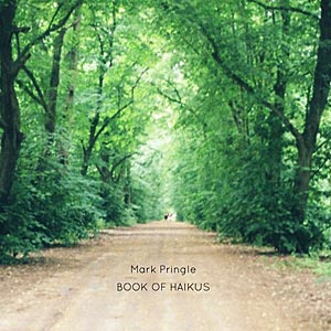 Book Of Haikus album